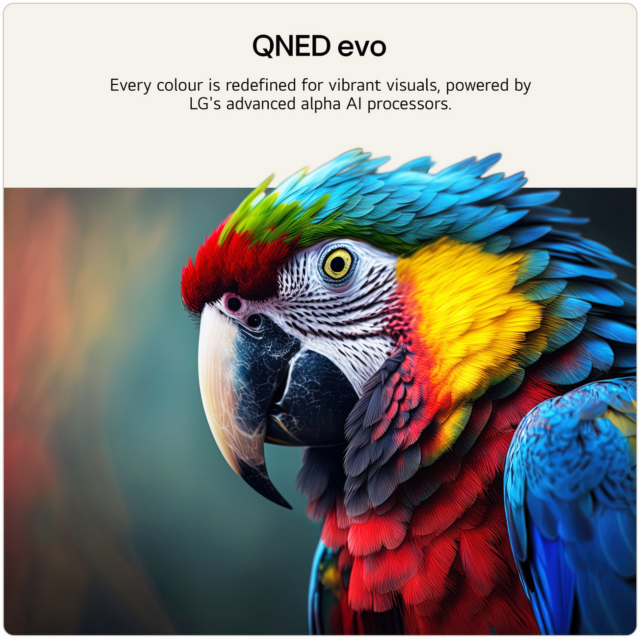 LG 115QNED93B6 115inch 4K QNED evo AI Smart TV